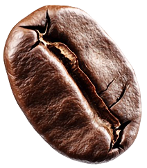 coffee bean